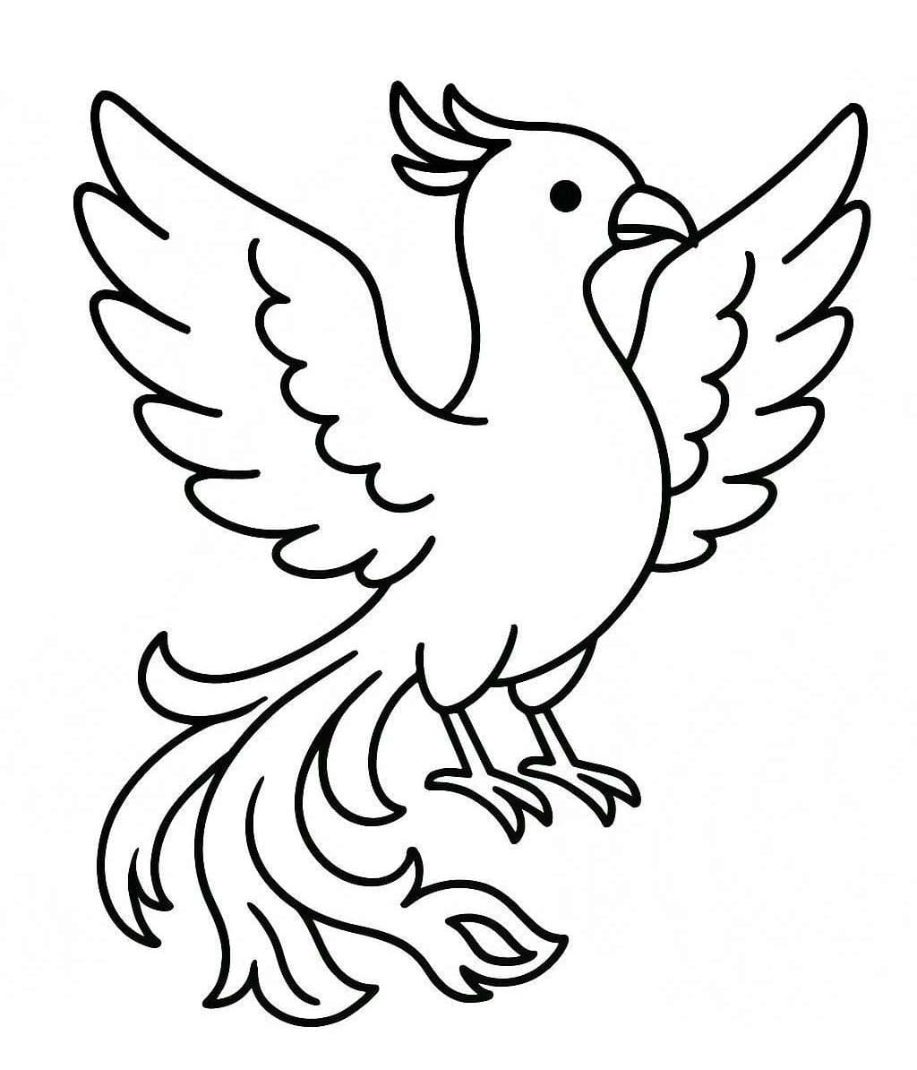 피닉스 이미지 무료