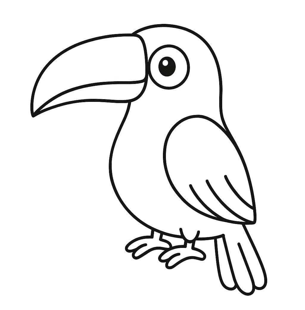 투칸 그리다 무료