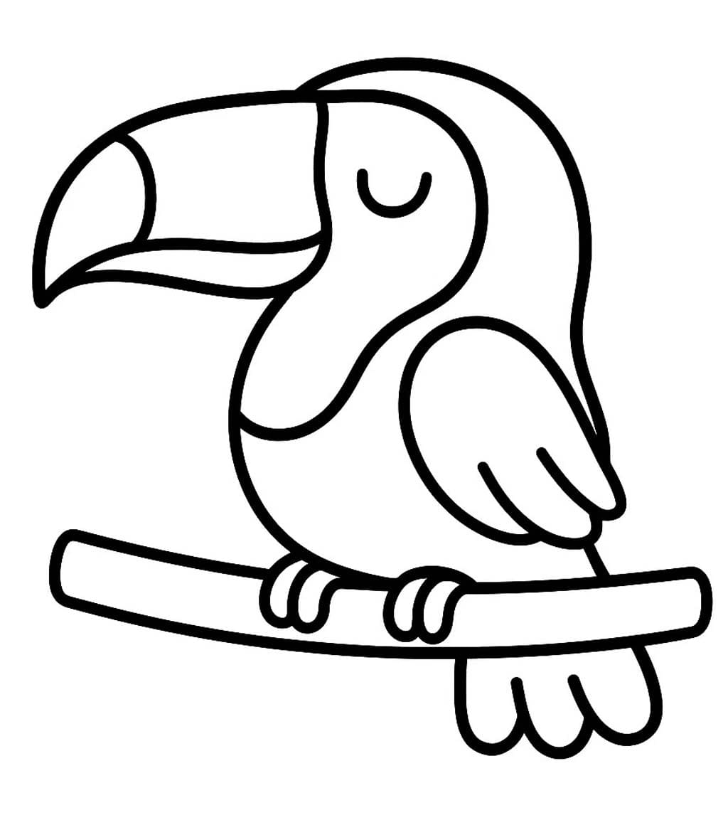 투칸 이미지 단순한