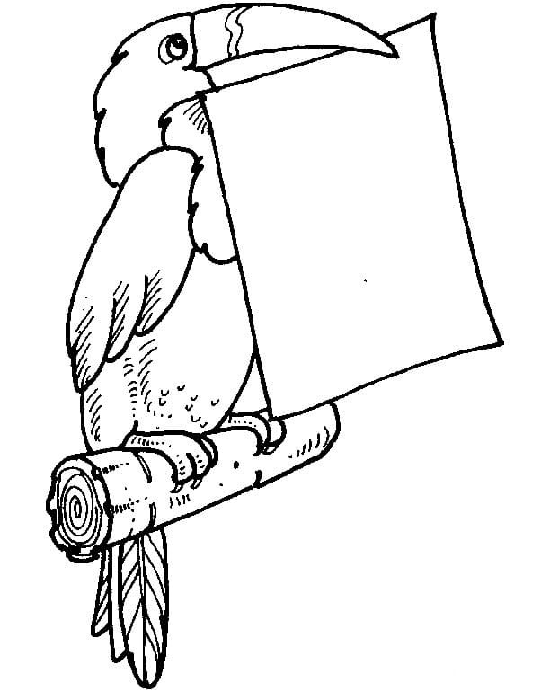 투칸 이미지 쉬운