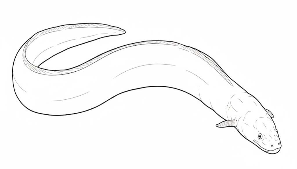 뱀장어 이미지 단순한