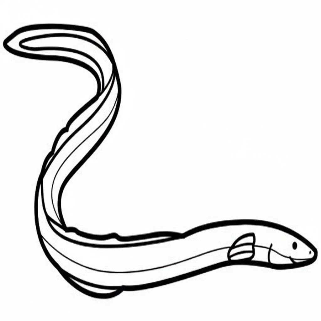 뱀장어 이미지 무료