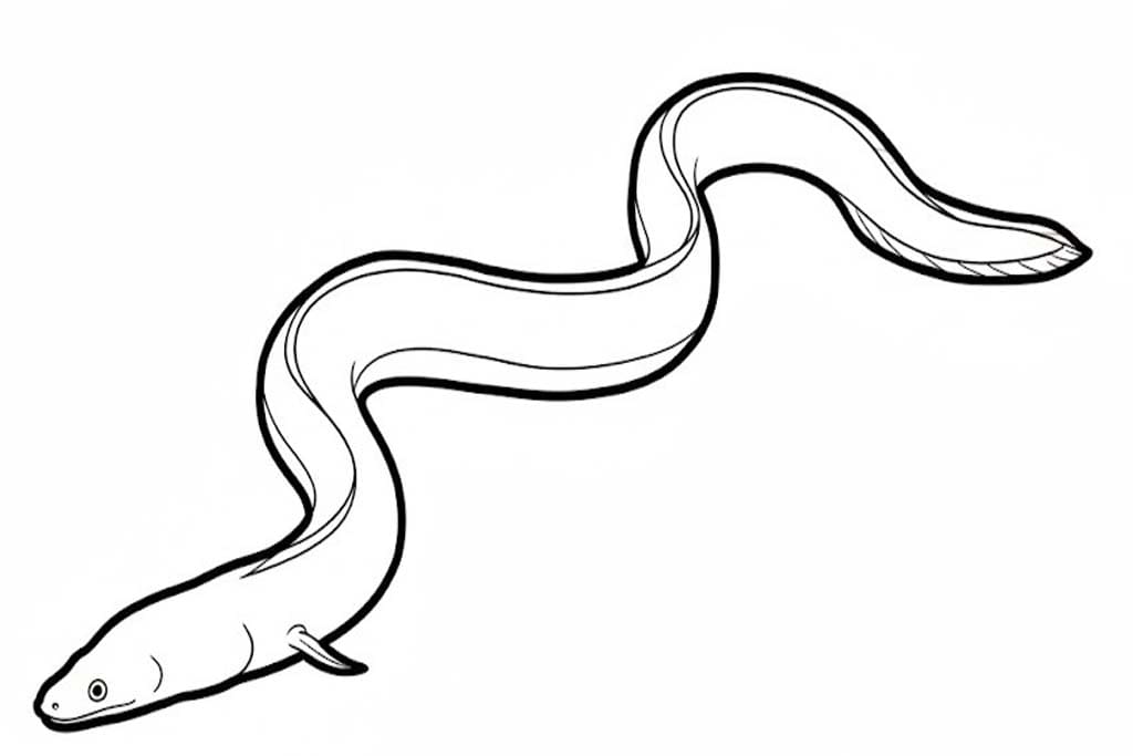 뱀장어 이미지 무료로 인쇄 가능