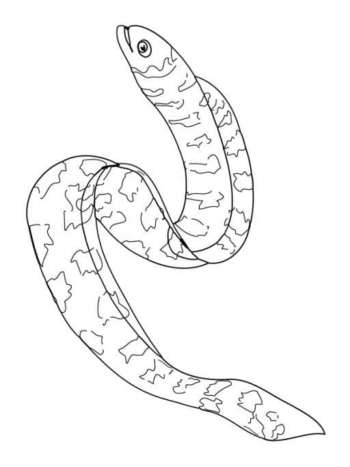 뱀장어 인쇄 가능