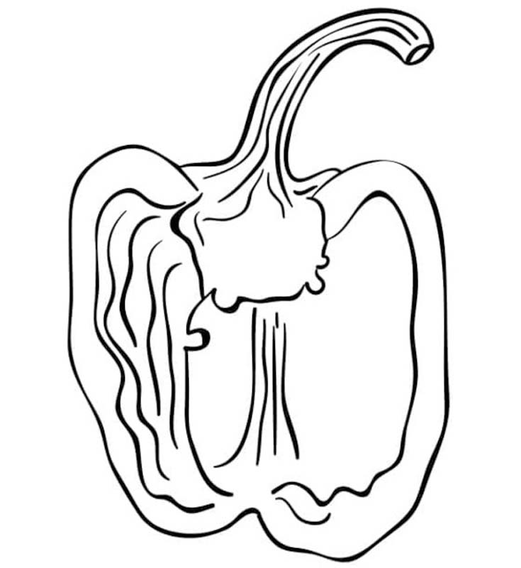 베이식 그리다 피망