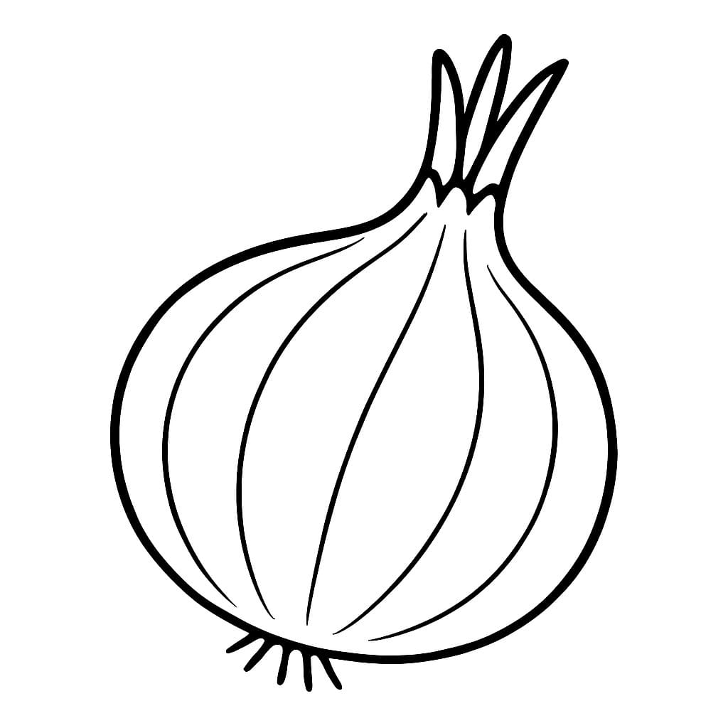 베이식 그리다 양파