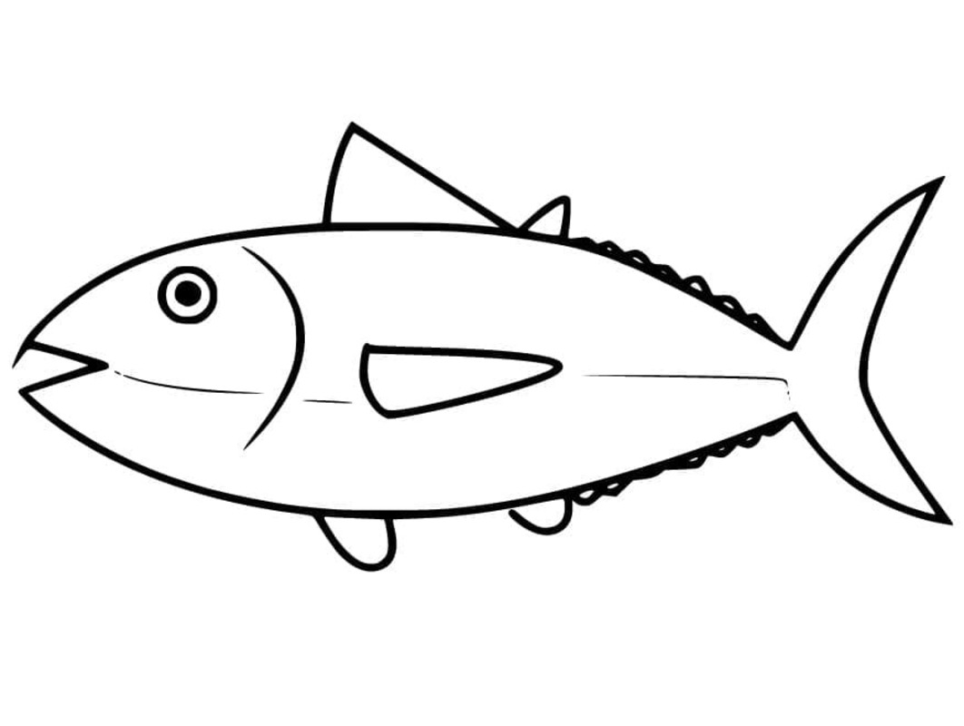 단순한 그리다 참치