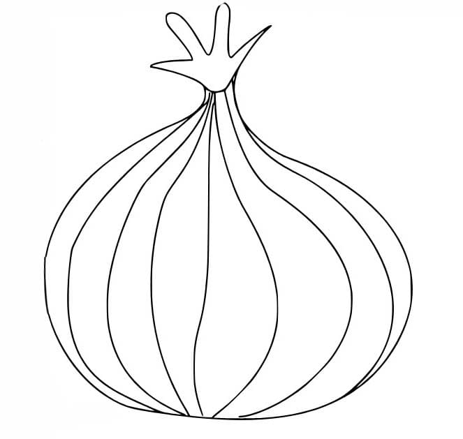 단순한 그리다 양파