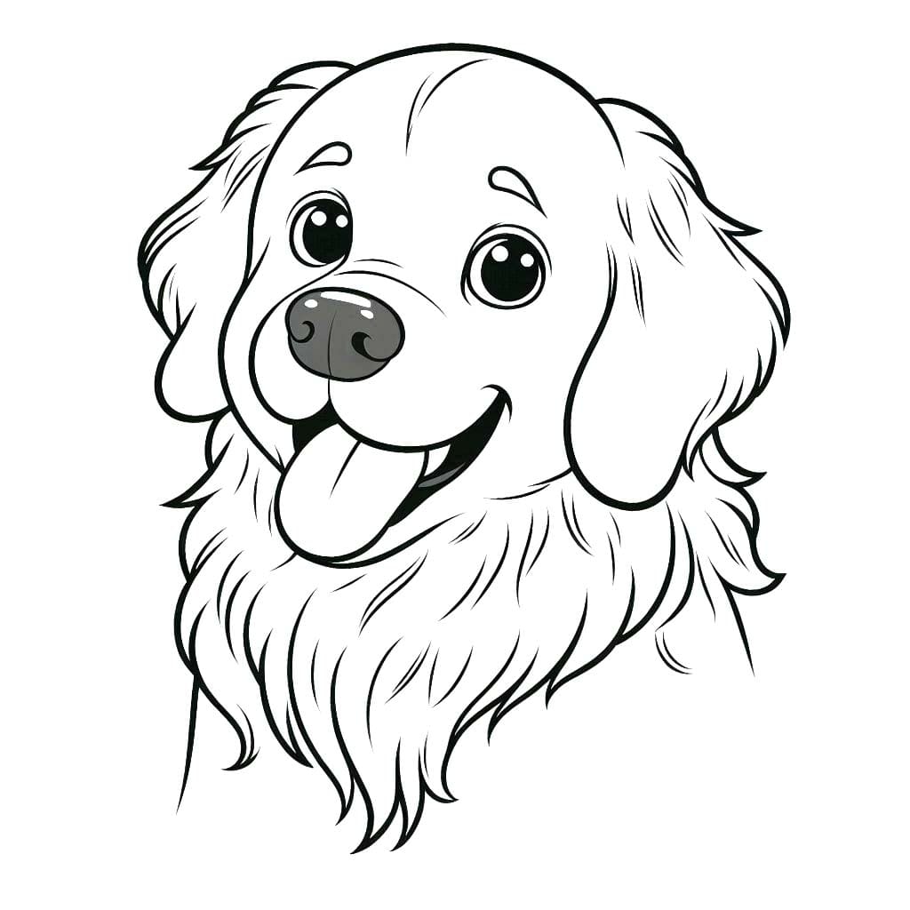 골든 리트리버 얼굴