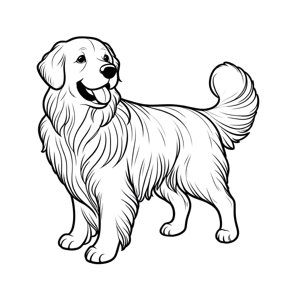 골든 리트리버 그리다