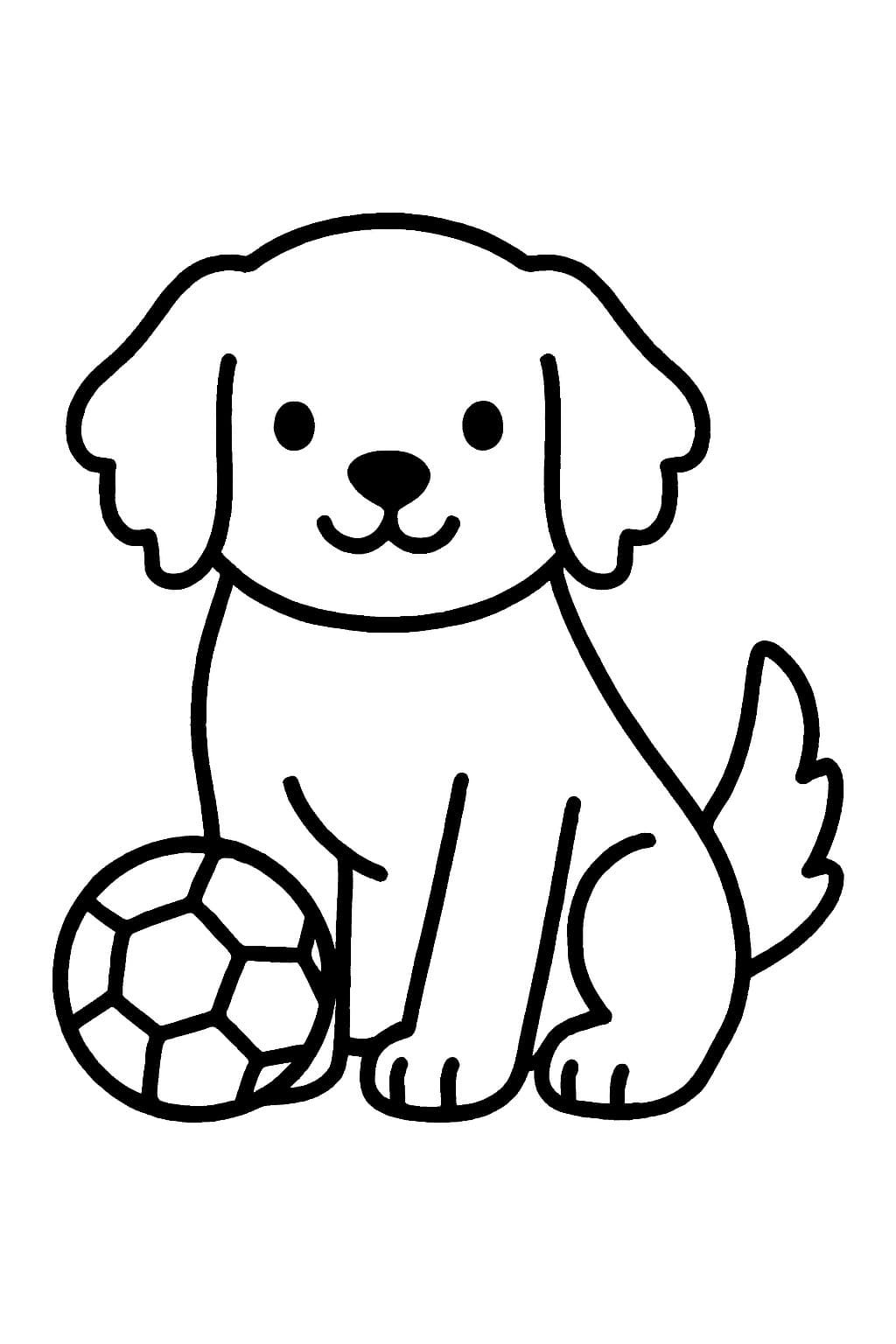 골든 리트리버 그리고 공