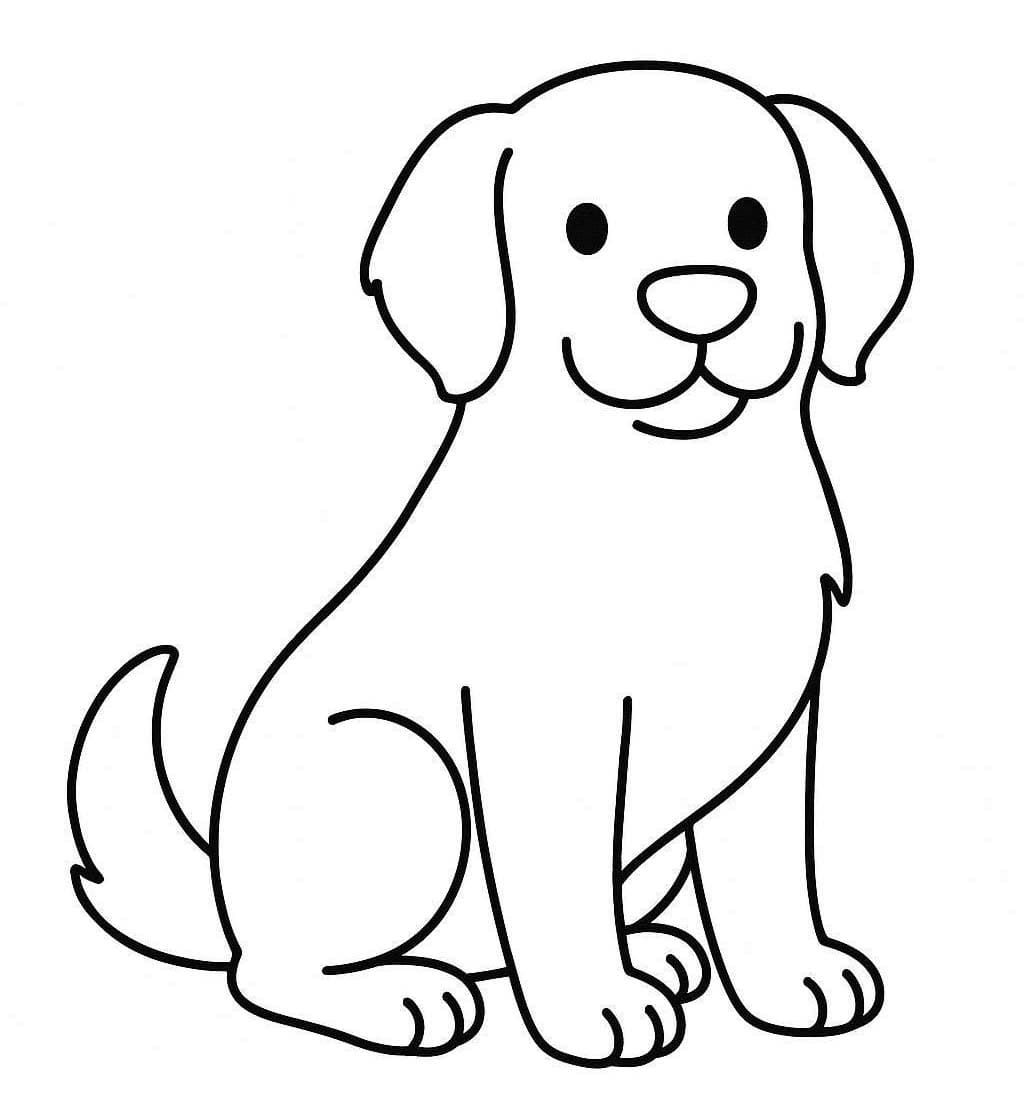 골든 리트리버 해피