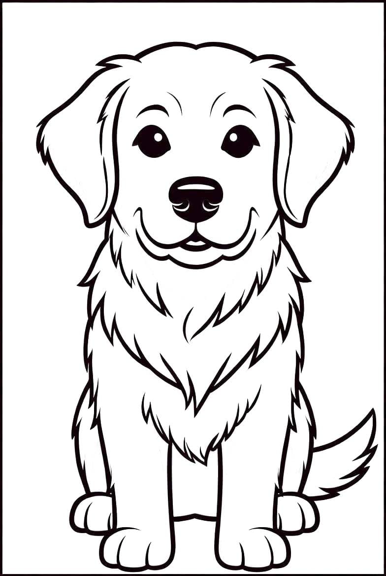 골든 리트리버 스마일