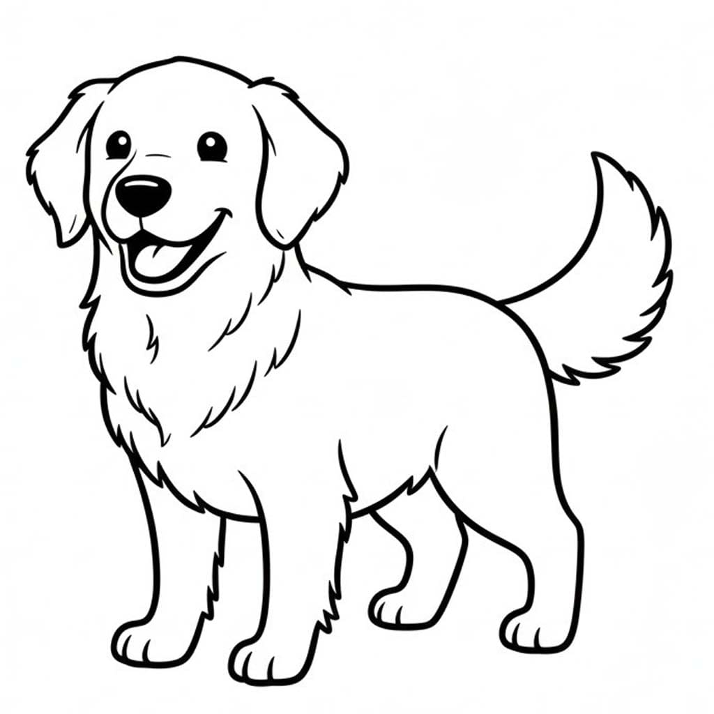 골든 리트리버 통통