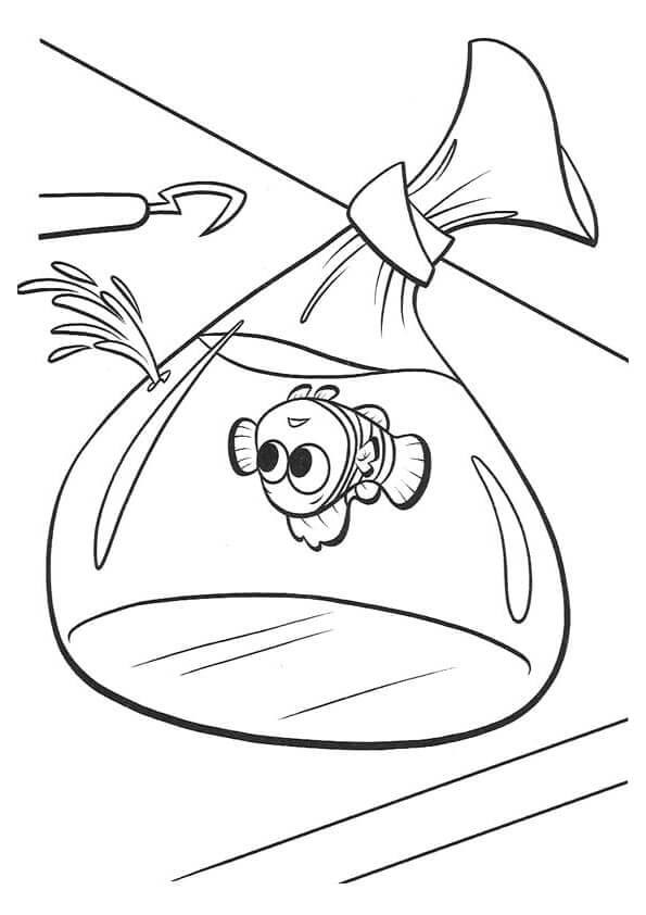 이미지 니모를 찾아서