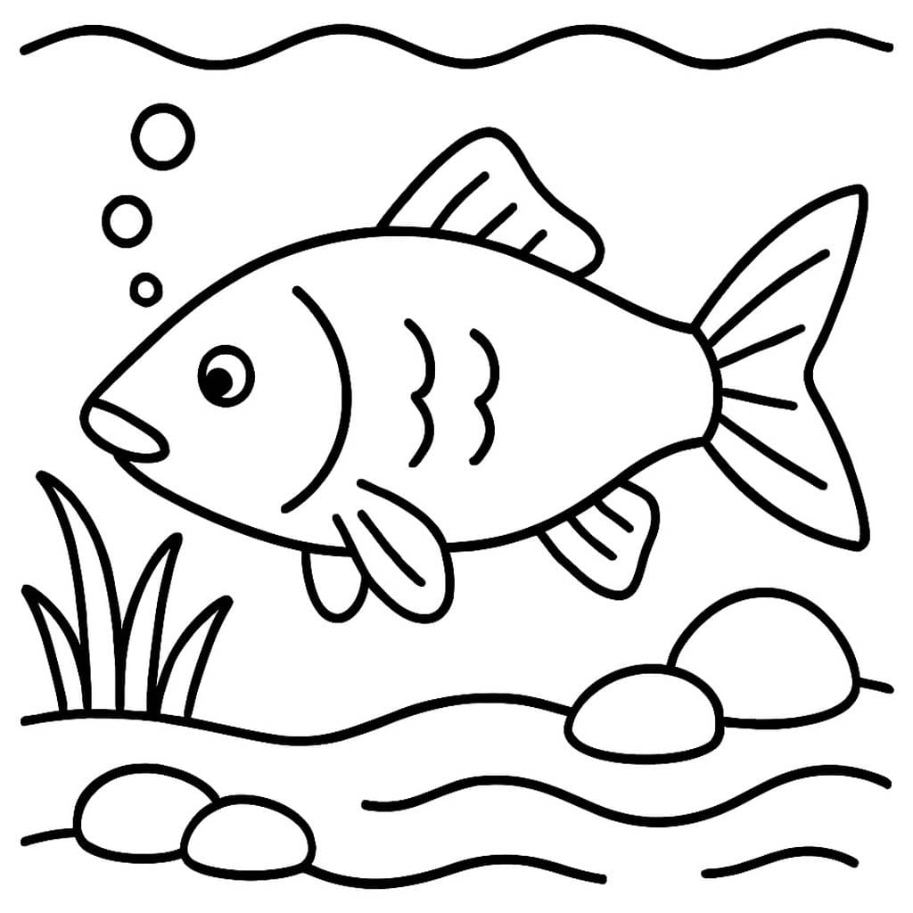 잉어 색칠하기놀이