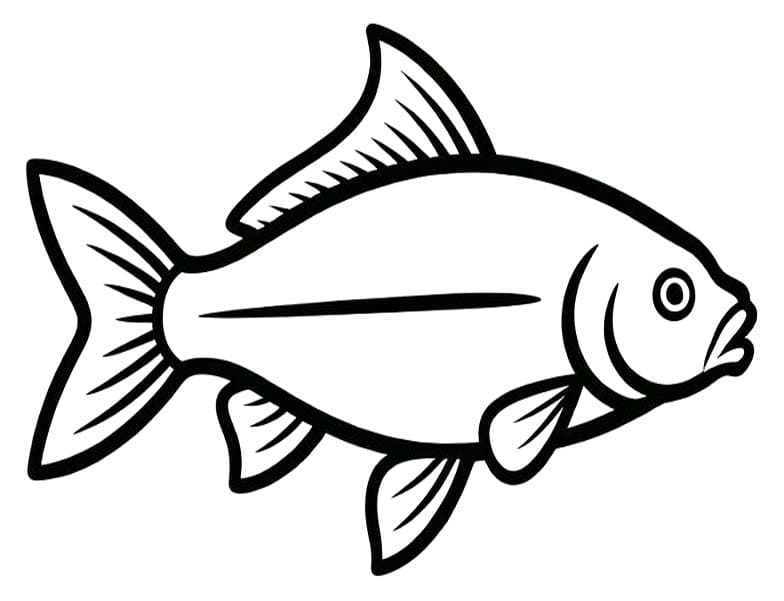 잉어 이미지 단순한