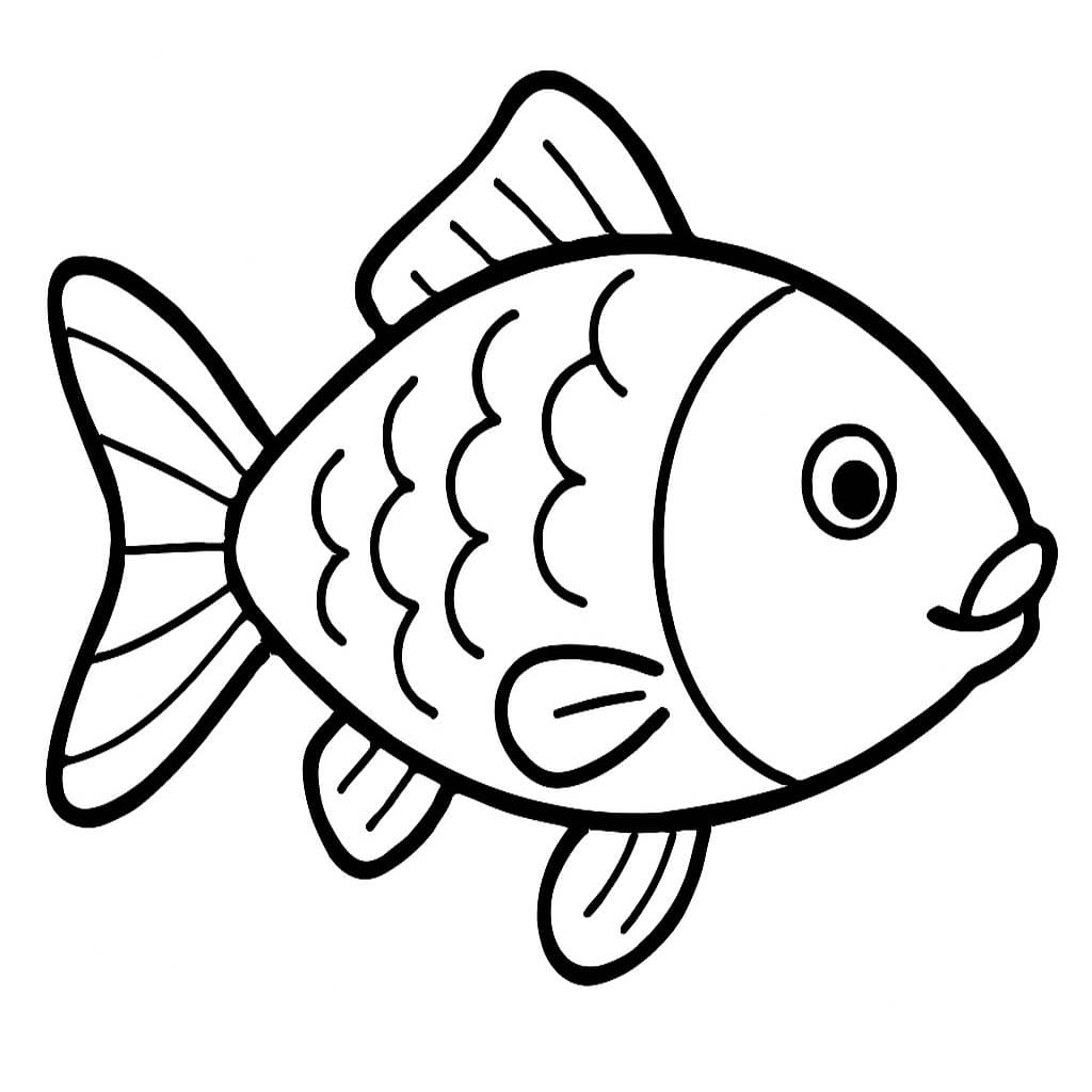 잉어 이미지 쉬운