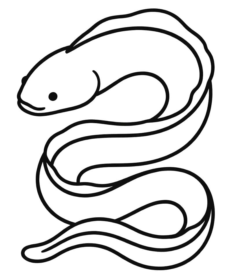 뱀장어 색칠하기놀이
