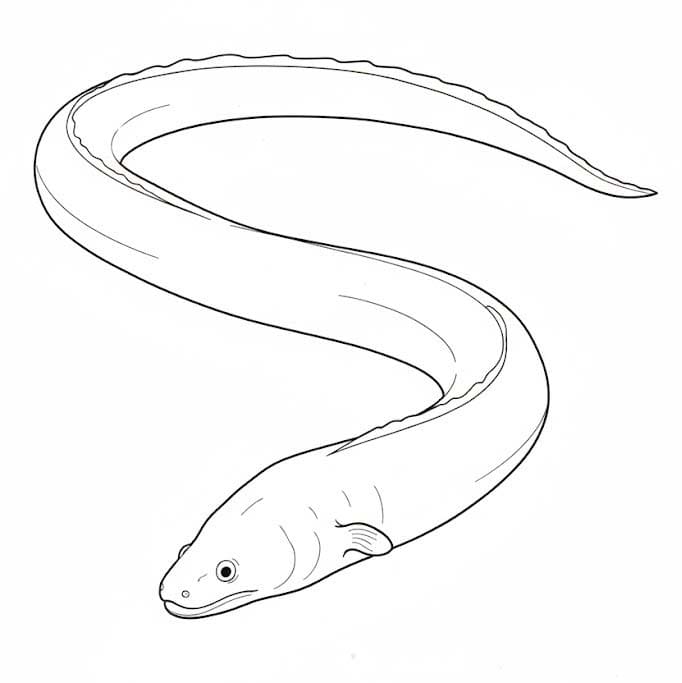 인쇄 가능 그리다 뱀장어