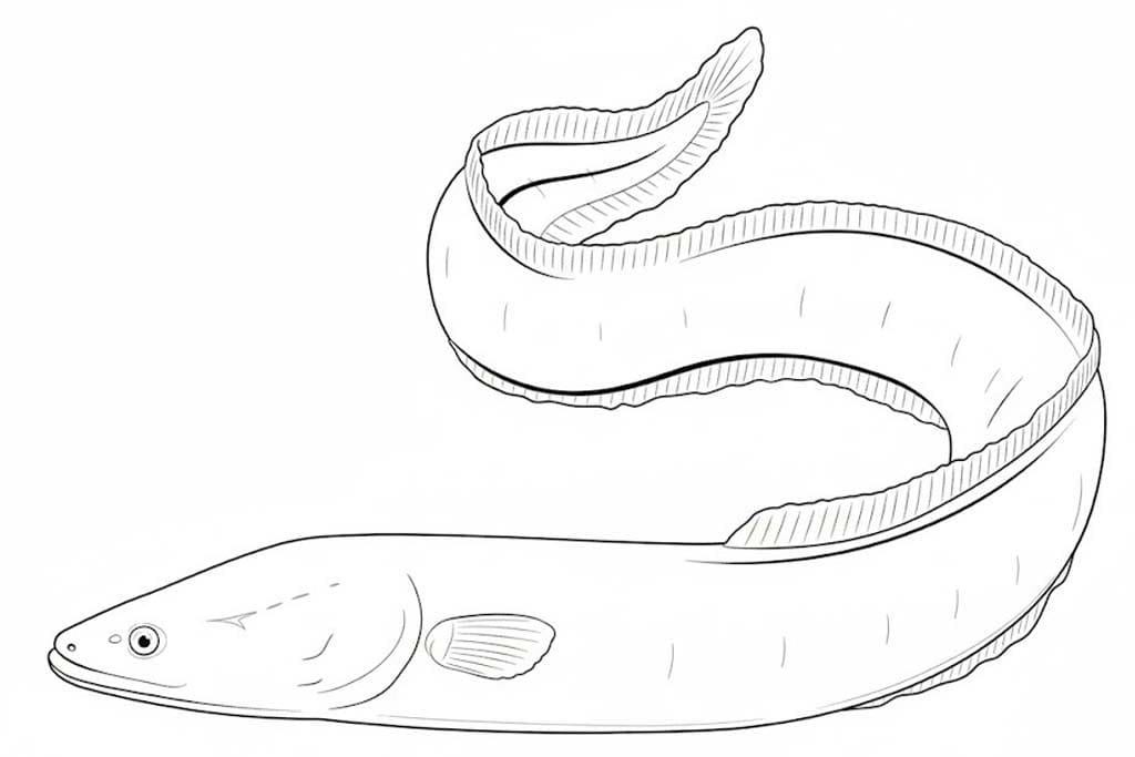 인쇄 그리다 뱀장어