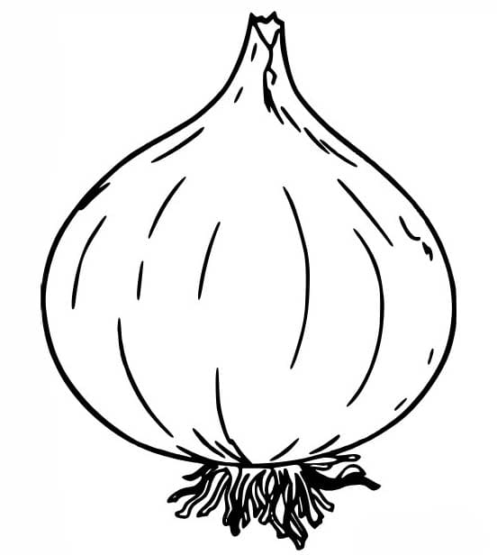 무료 그리다 양파