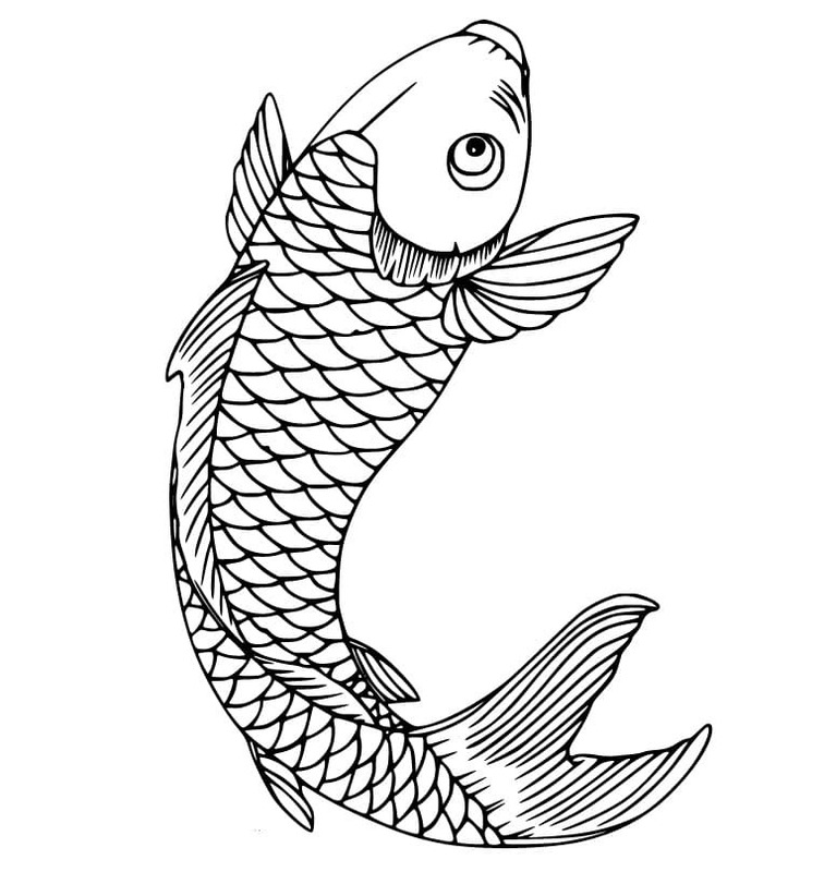 무료로 그리다 잉어