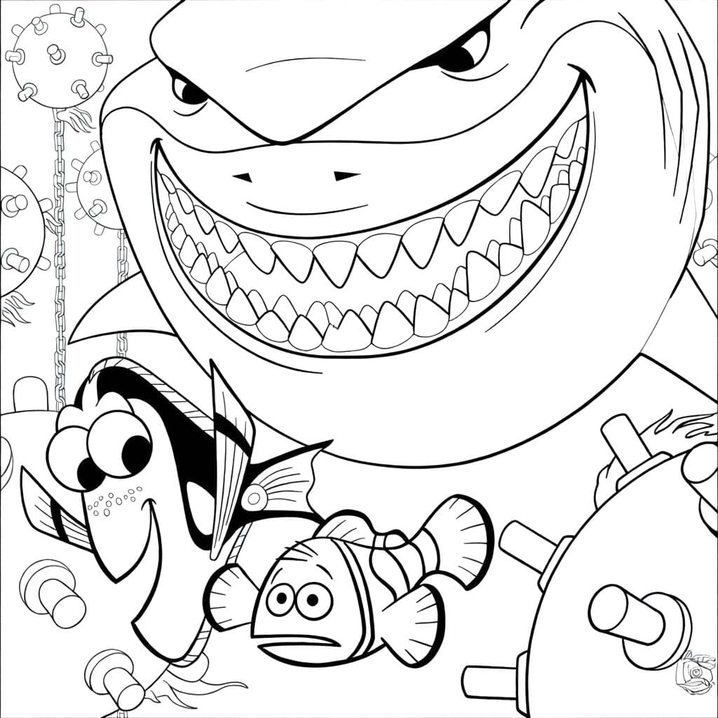 니모를 찾아서 이미지