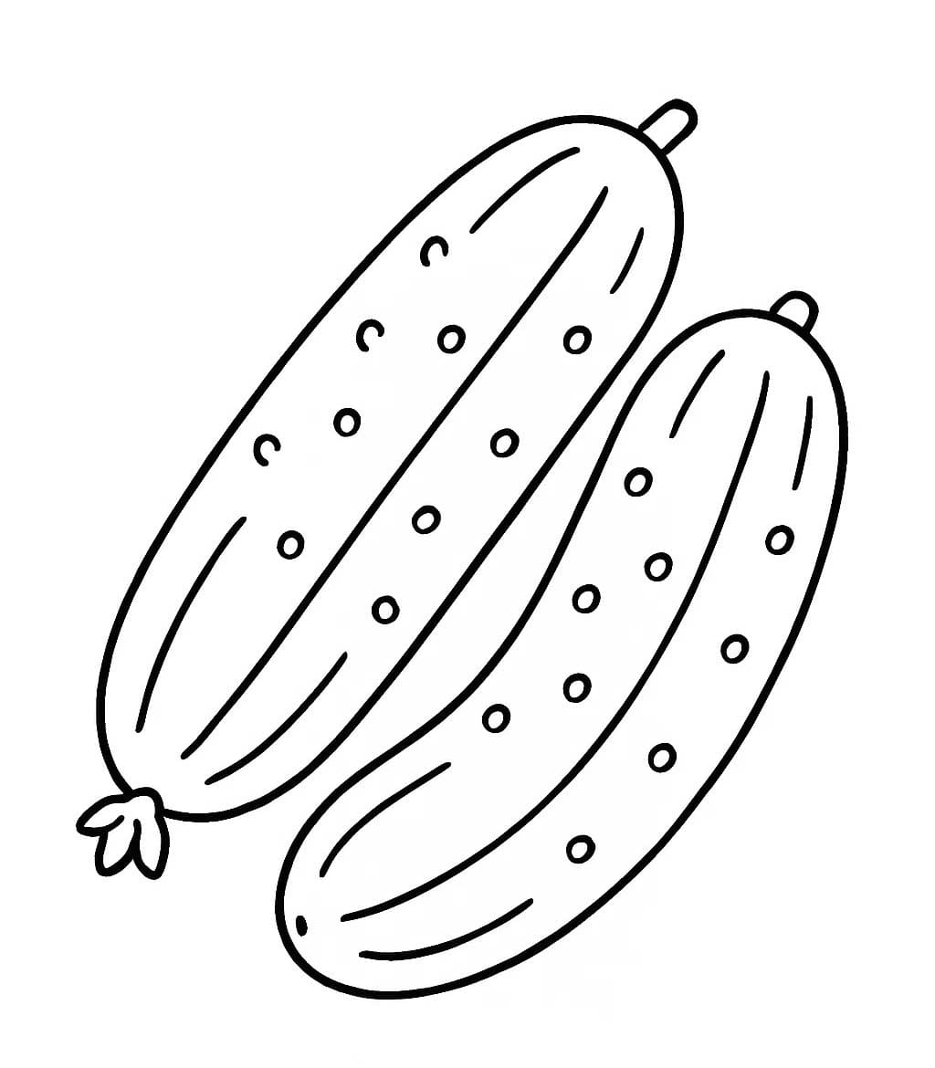 오이 이미지 무료