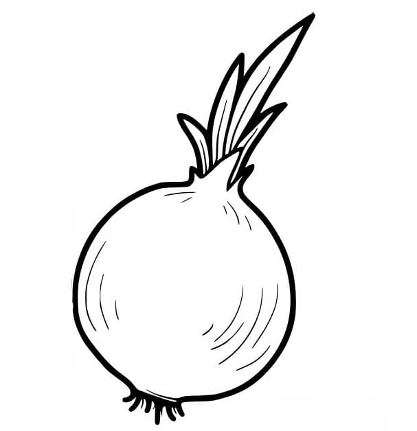 양파 이미지 인쇄 가능