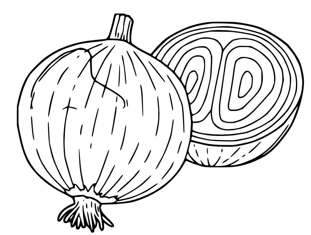 양파 이미지 무료로