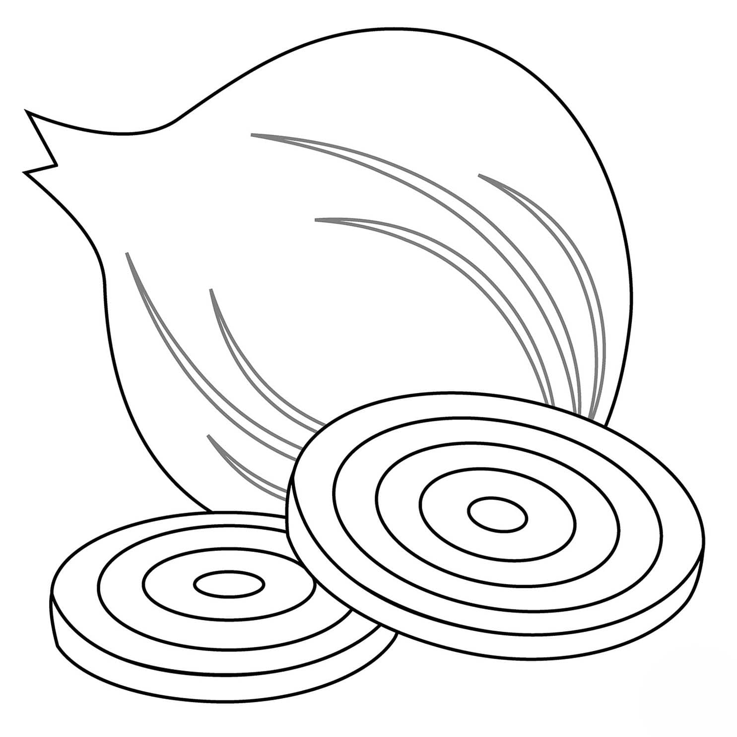 양파 이미지 쉬운