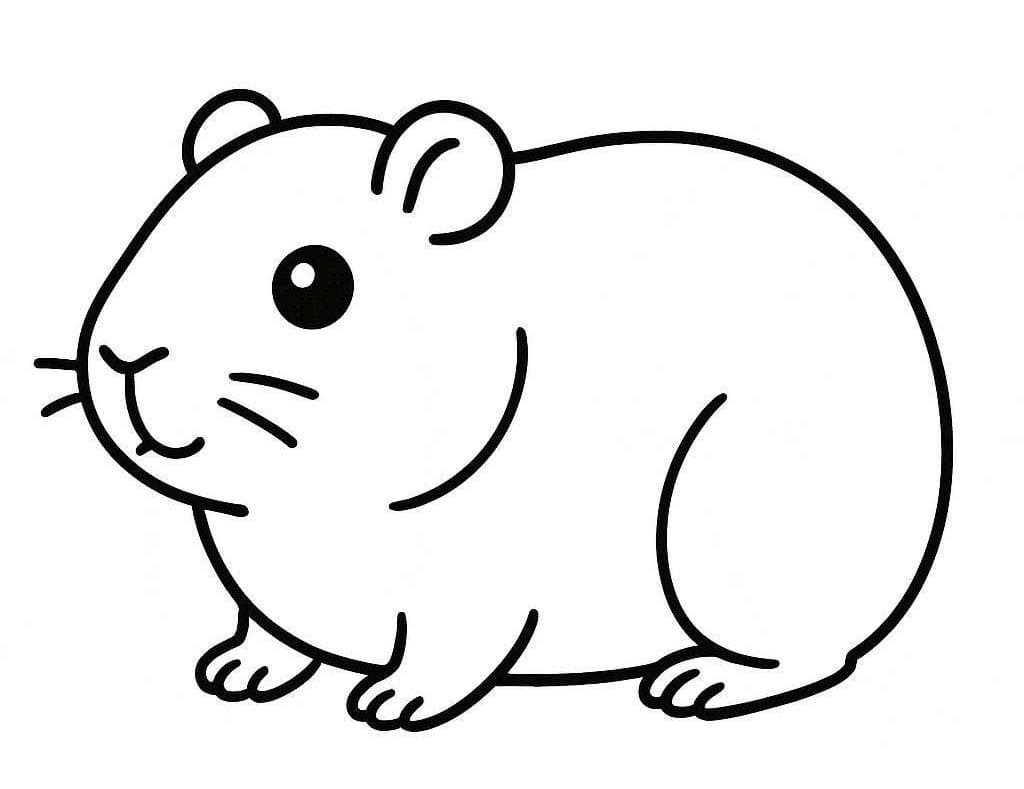 베이식 그림 기니피그