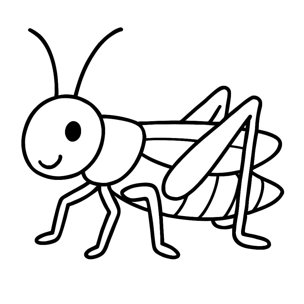 메뚜기 색칠하기놀이