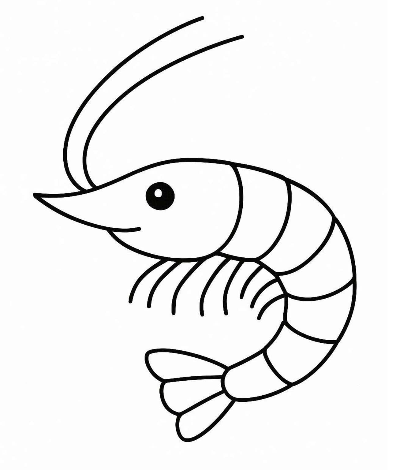 그림 새우 무료로 인쇄 가능