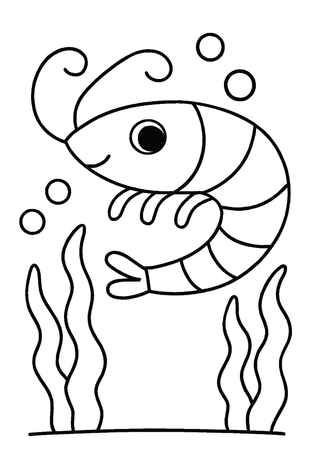 그림 새우 쉬운