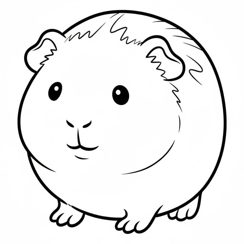 기니피그 이미지 무료