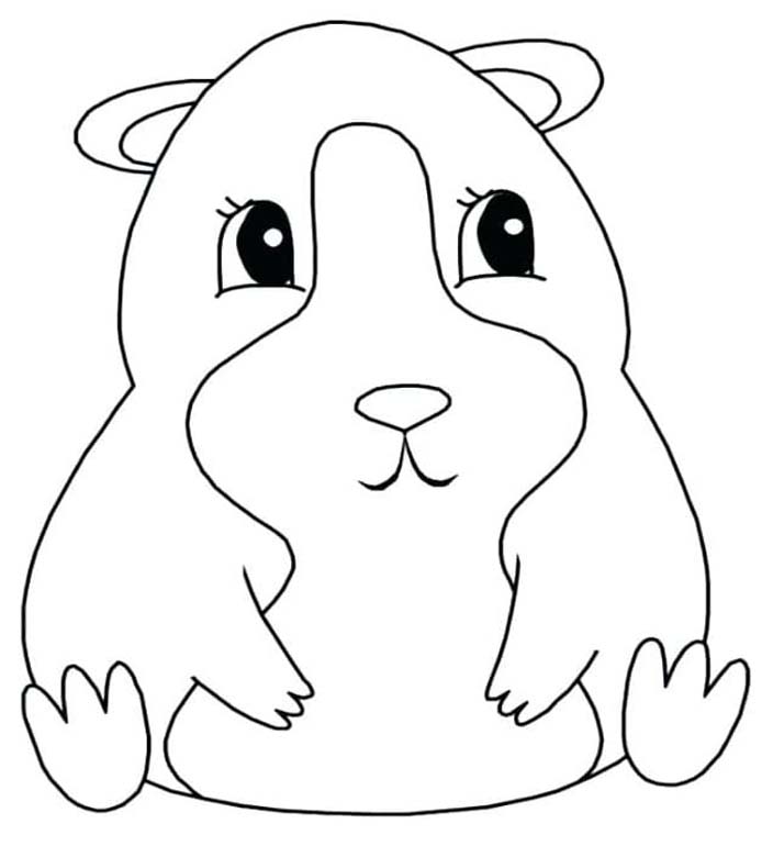 이미지 기니피그