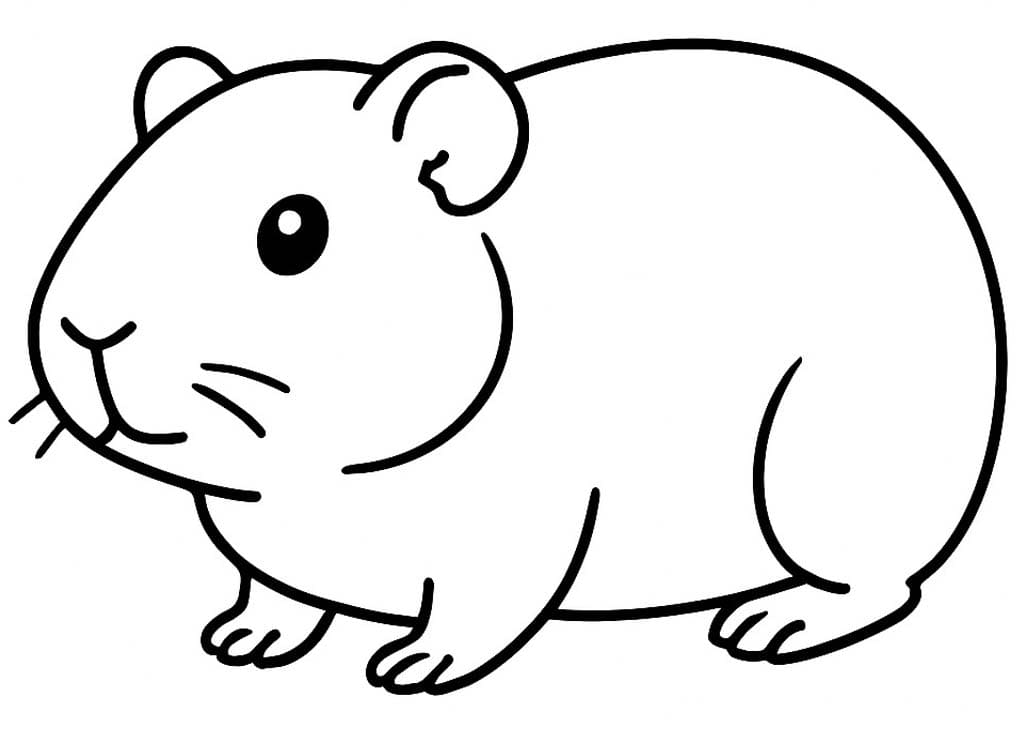 인쇄 가능 그리다 기니피그