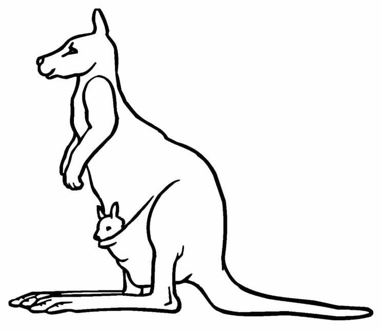 인쇄 가능 캥거루