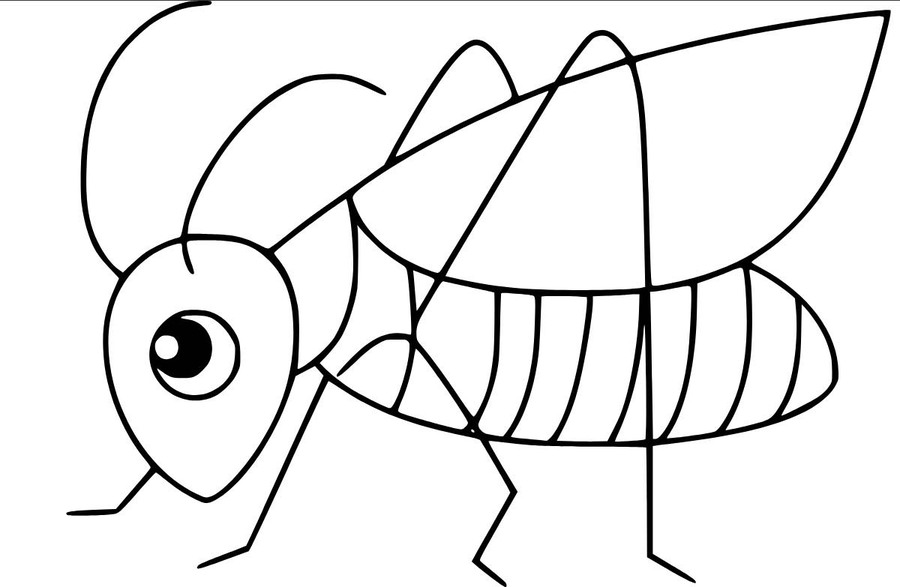 인쇄 가능 메뚜기