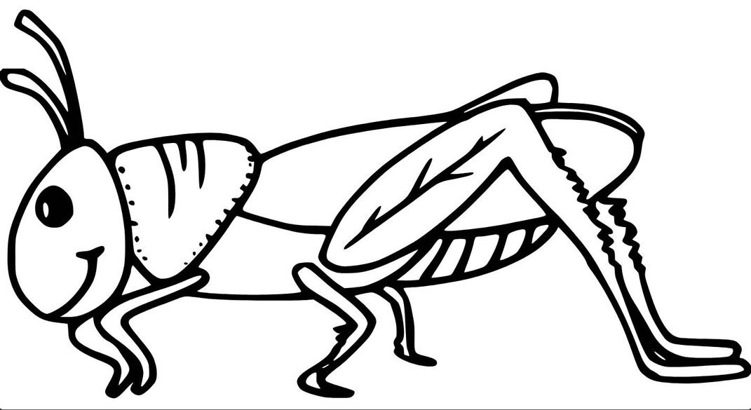 인쇄 그리다 메뚜기