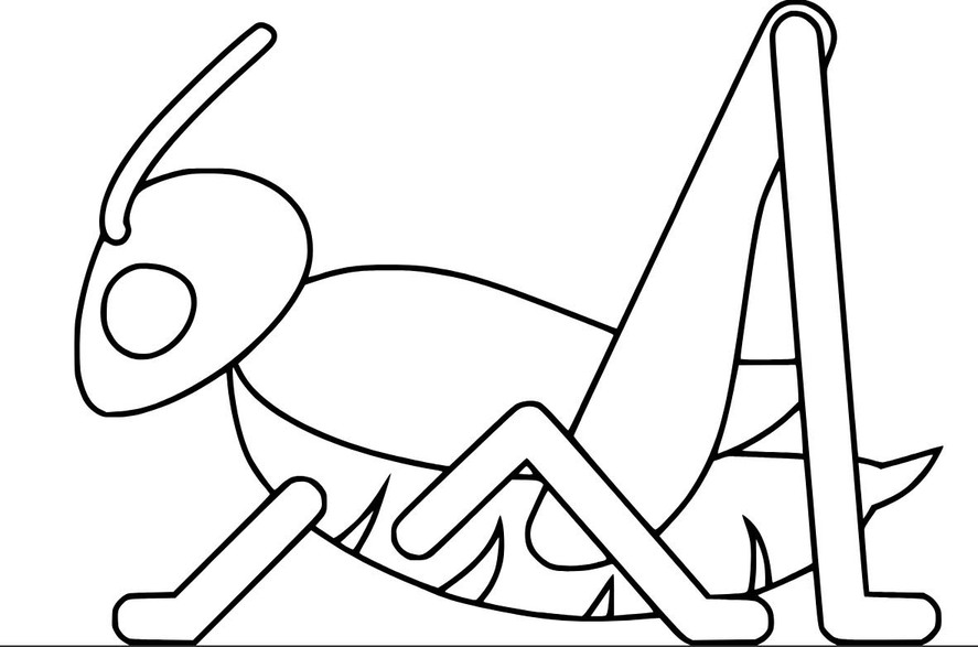 메뚜기 이미지 무료로