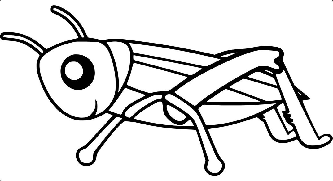 무료 그리다 메뚜기