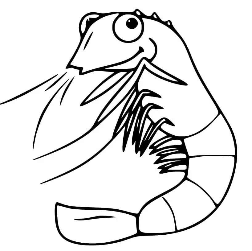 무료 그리다 새우