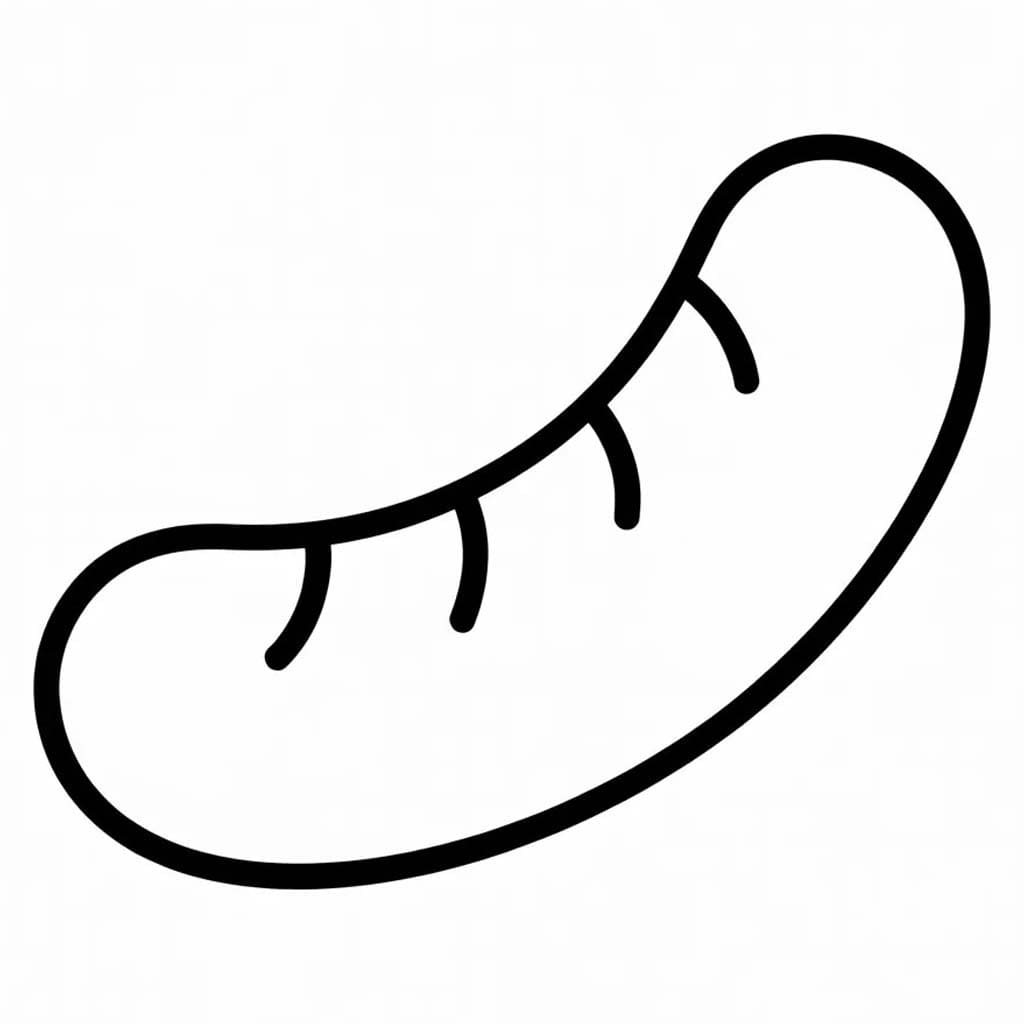 무료 소시지 그리다