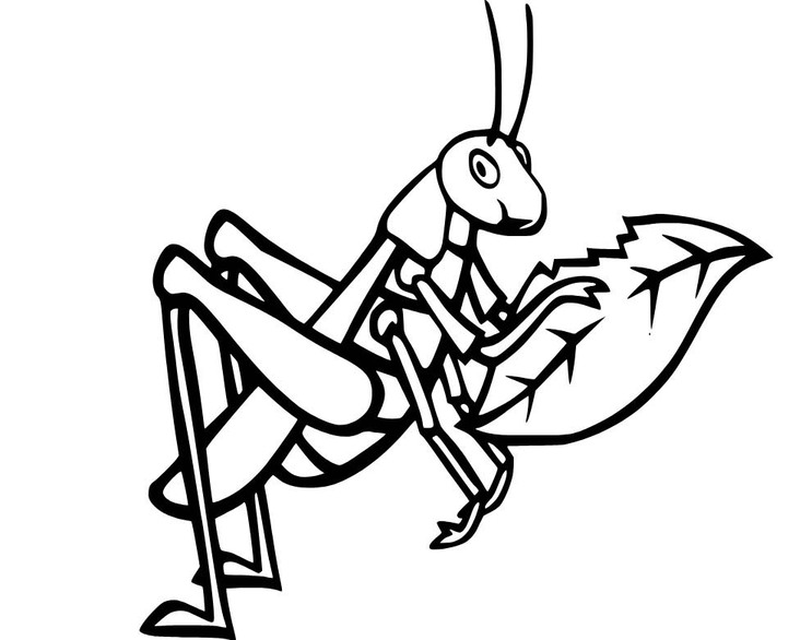 무료로 인쇄 가능 메뚜기