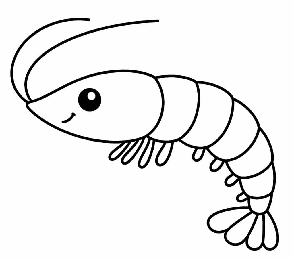 새우 이미지 인쇄