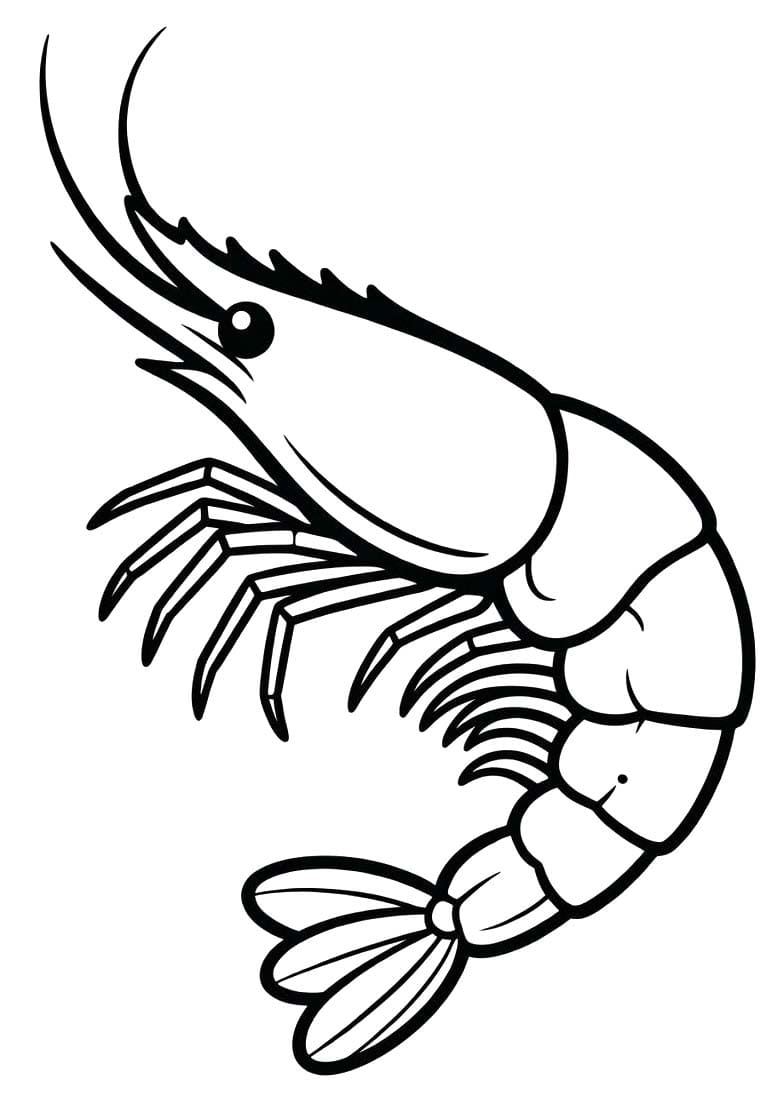 새우 이미지 무료