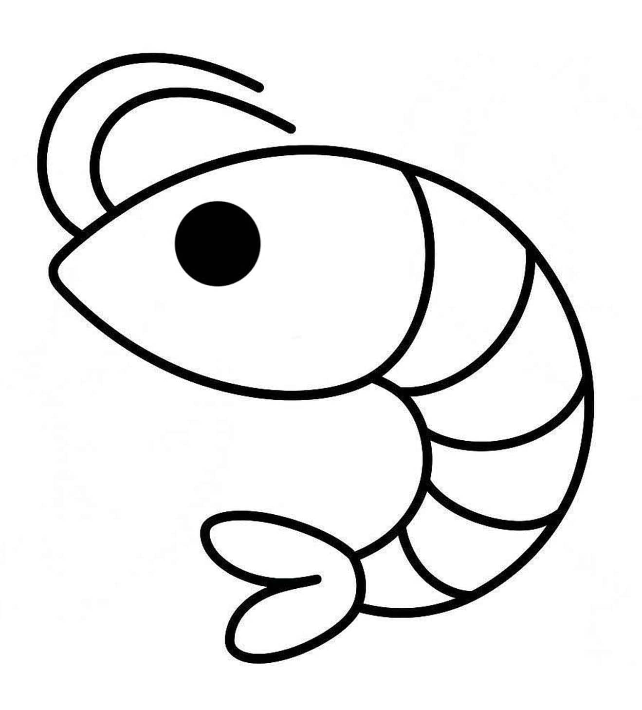 새우 이미지 쉬운